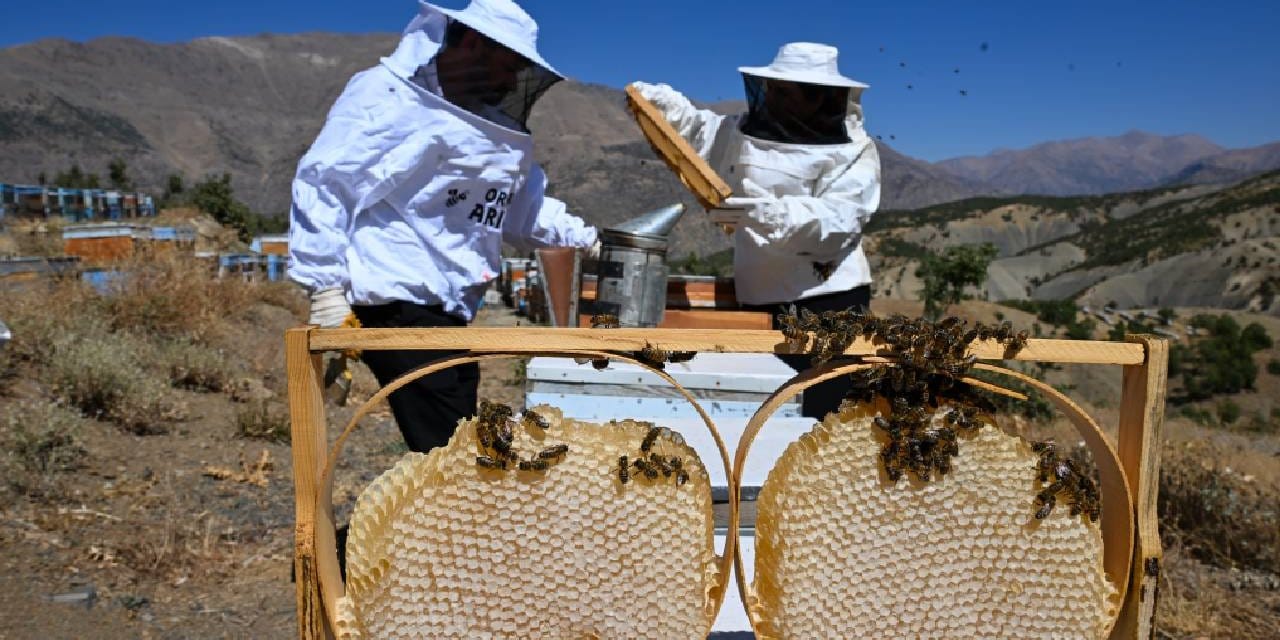 30 kovanla basladilar siparislere yetisemiyorlar AeS2JQmg