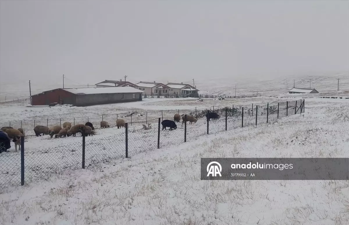 dogu karadenizin yuksek kesimleri beyaza burundu iZeMOY5Y