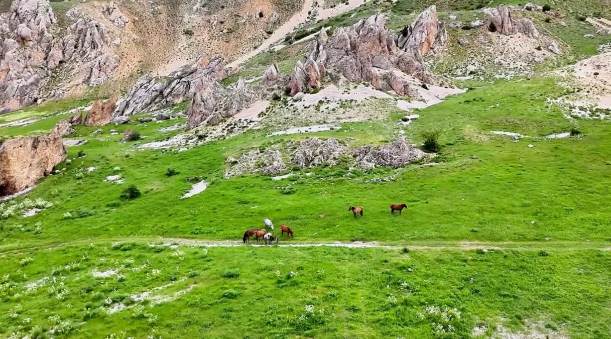 munzur daglarinda yilki atlari 1d3vRFt9