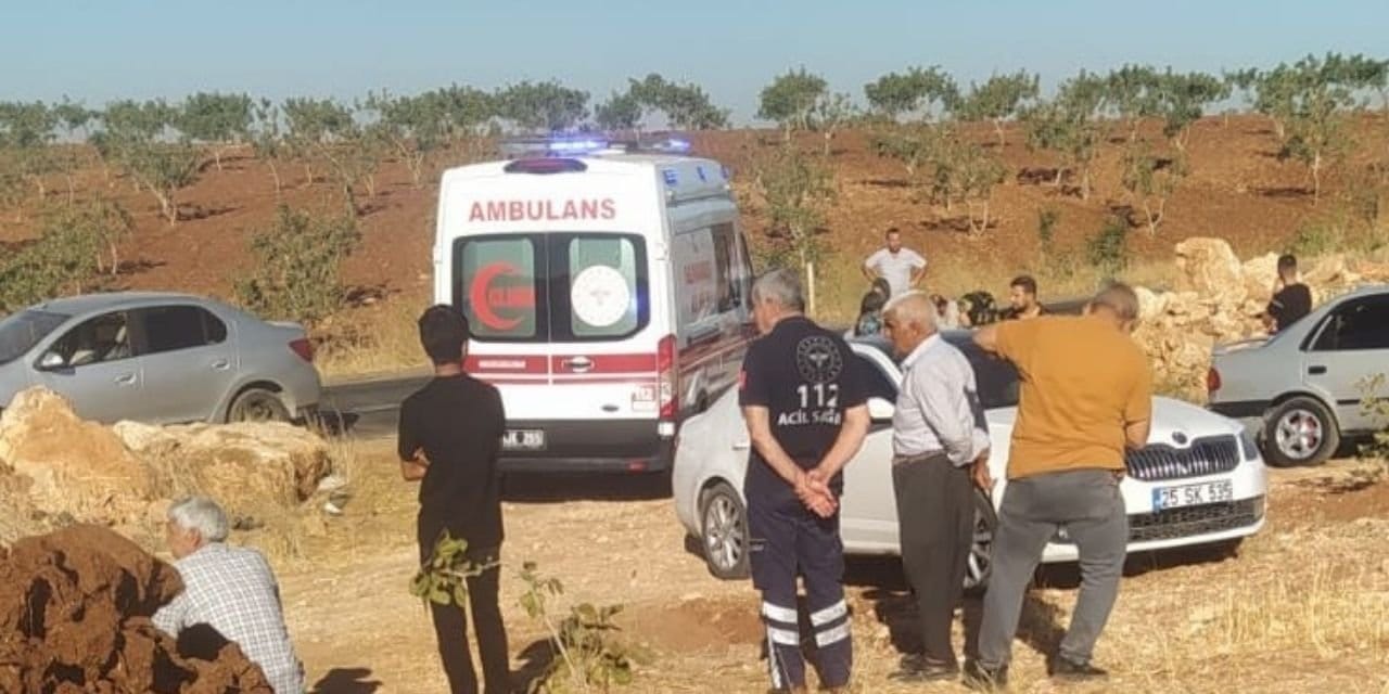 otomobil sarampole devrildi bir kisi yasamini yitirdi 3 kisi yaralandi wNexLqHX