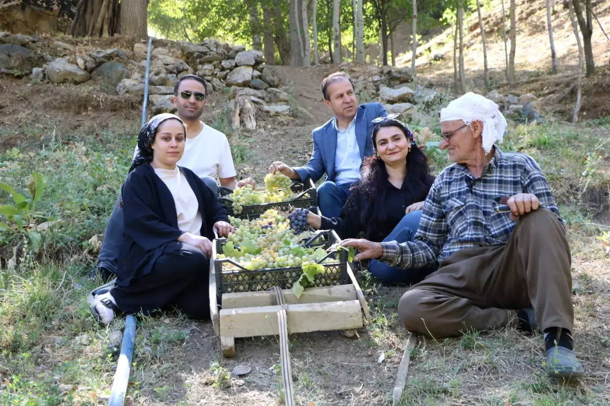 80 yasinda uzum hasadi YVhQTstK