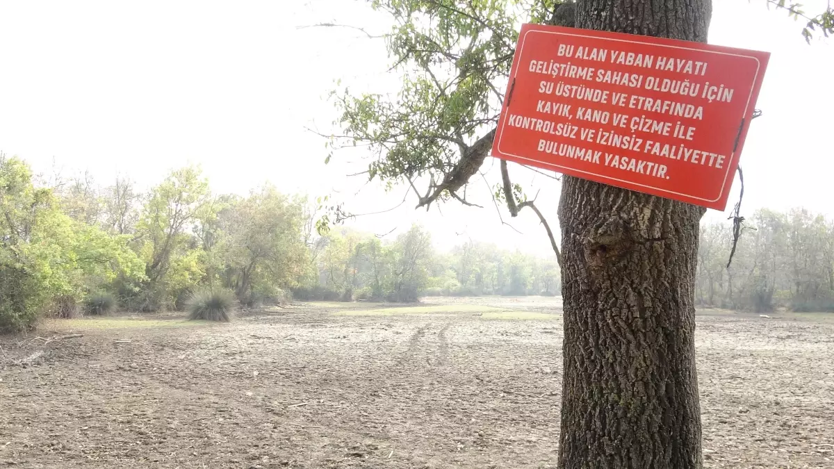 karacabey longozu kuruyor 4ppQZCLV.jpg