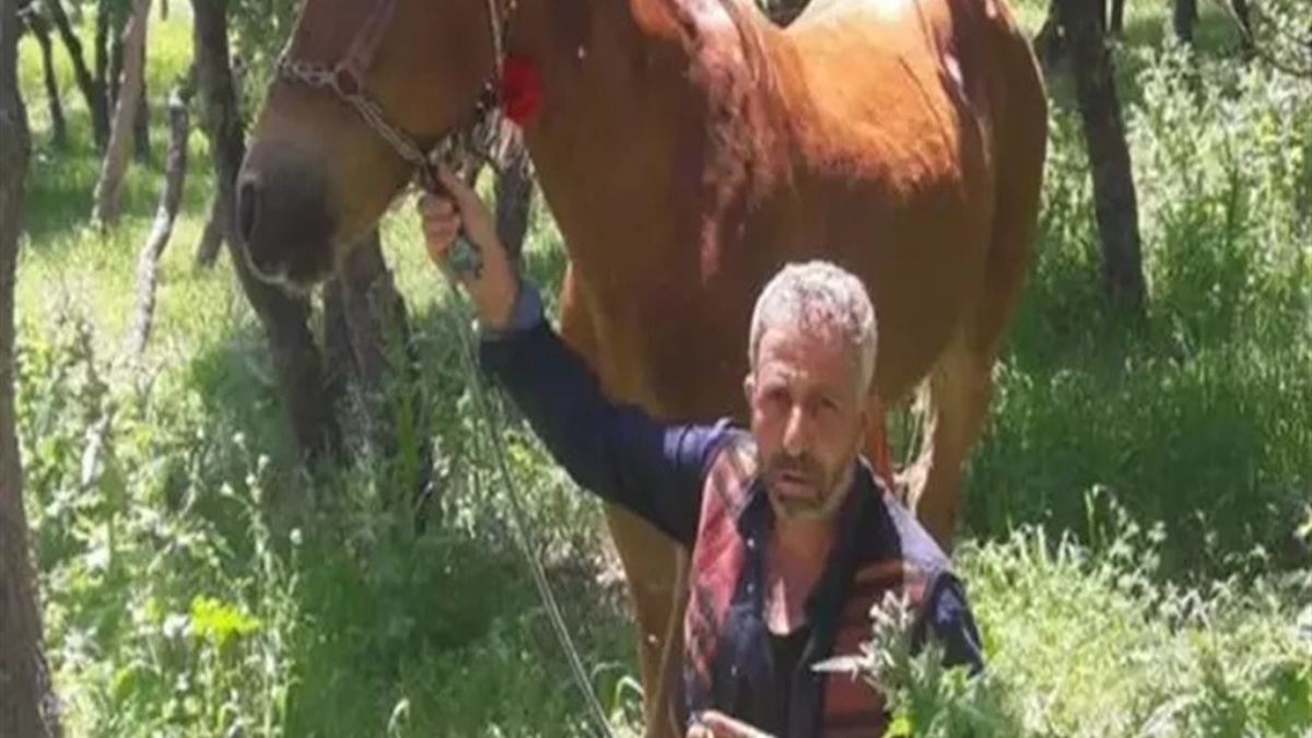 diyarbakirda babasini olduren saniga 15 yil verildi D1mGT6jS.jpg