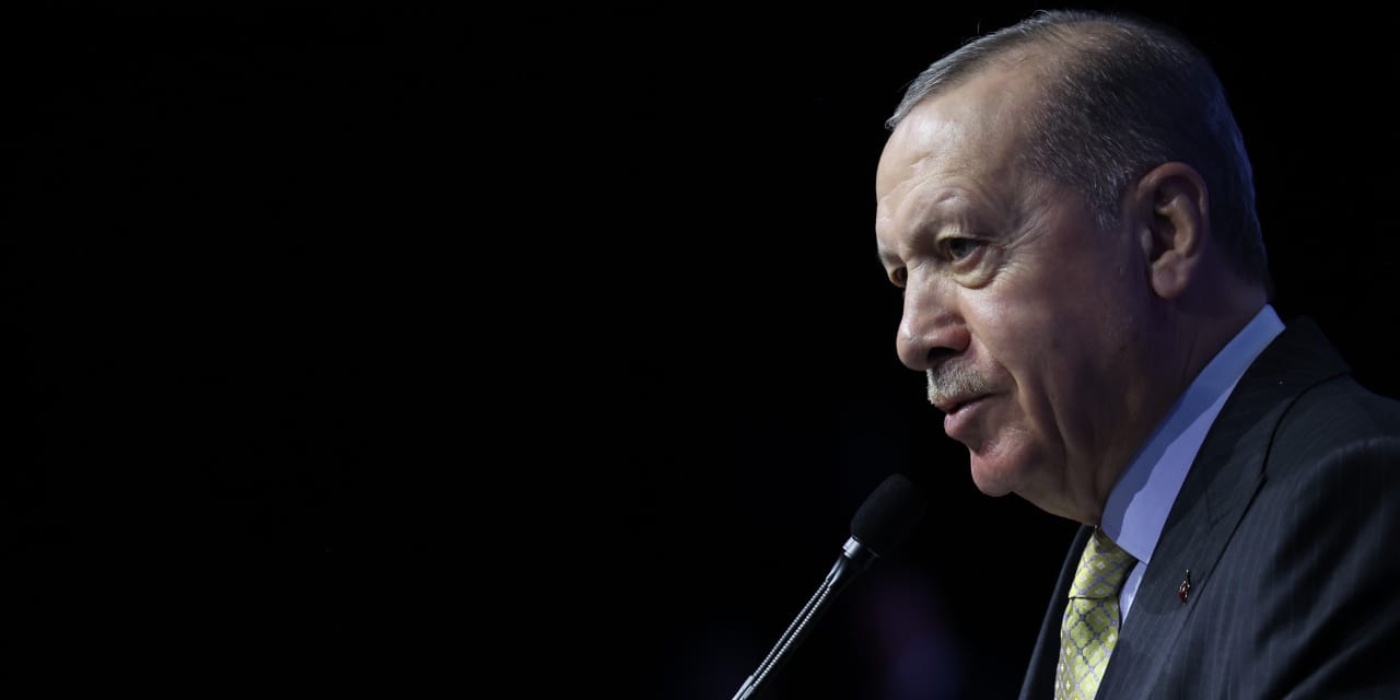 erdogan ne demek istedi ozel boyle giderse chp ya sanziman dagitacak dKkgKkBZ.jpg