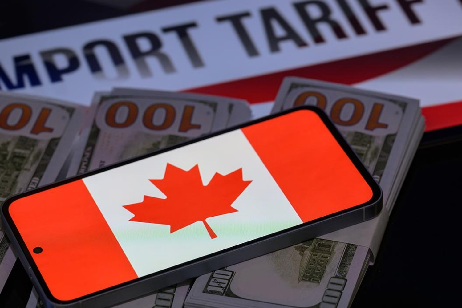 kanada abdnin tarifeleriyle mucadelede 141 milyar dolarlik harcamayi ongoren butce tasarisi sundu Gswmvmex.jpg