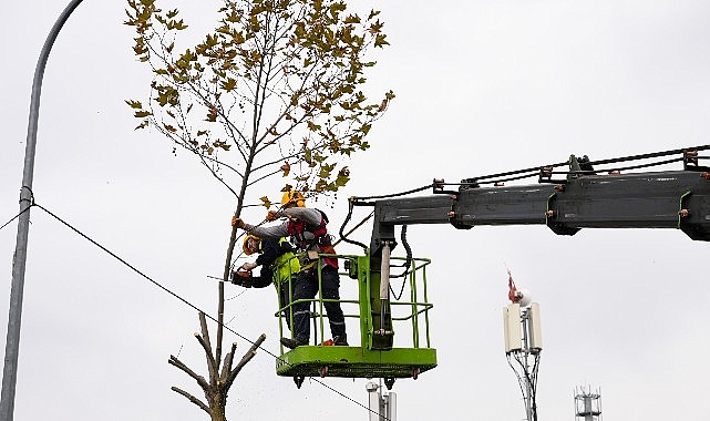 maltepede budama zamani R6OshHVP.jpg