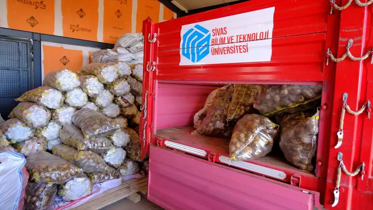 sivasta patates turleri arastiriliyor 1tinBfcM.jpg