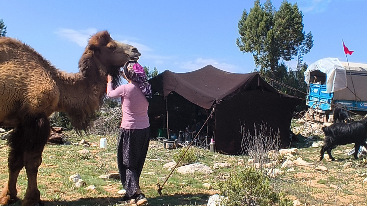 20 Günlük Geleneksel Göç Yolculuğu Başladı: Tarihi Kültür Yeniden Hayat Buldu