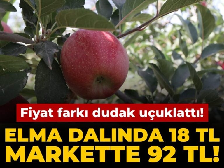 elma-dalinda-18-tl-markette-92-tl-aradaki-fark-dudak-ucuklatti-y6rZrmhX