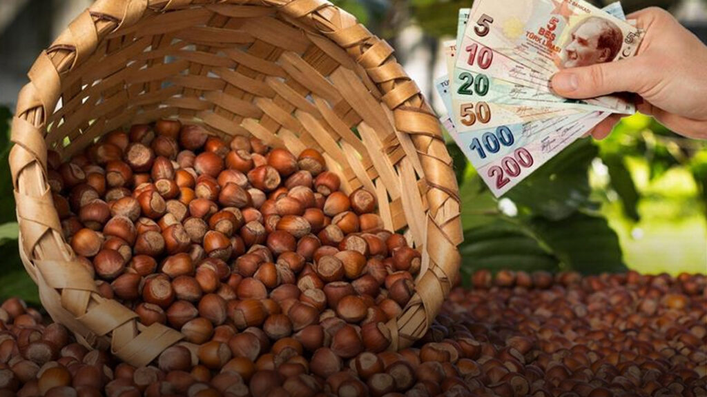 Fındık İhracatı Zirveye Çıkıyor: İlk Dört Ayda Gelir 987 Milyon Doları Geçti