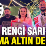 Damada sira disi hediye rengi sari ama altin degil SZsrEAap