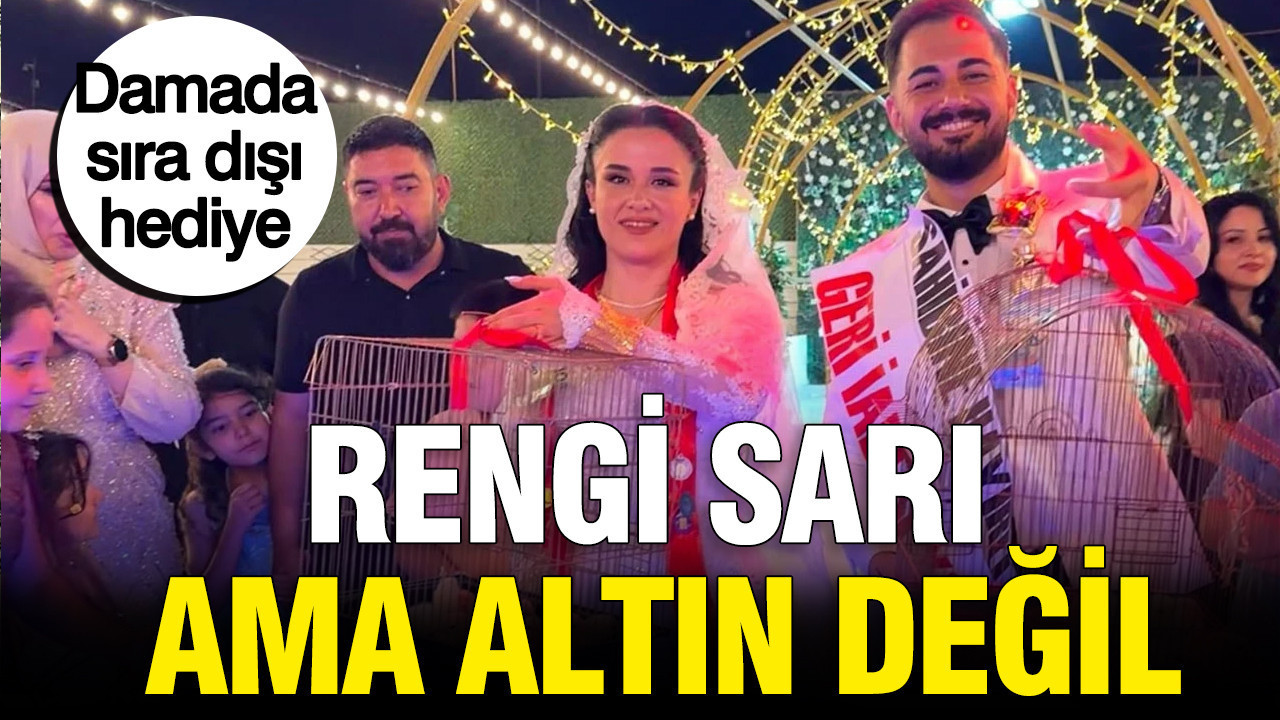 Damada sira disi hediye rengi sari ama altin degil SZsrEAap